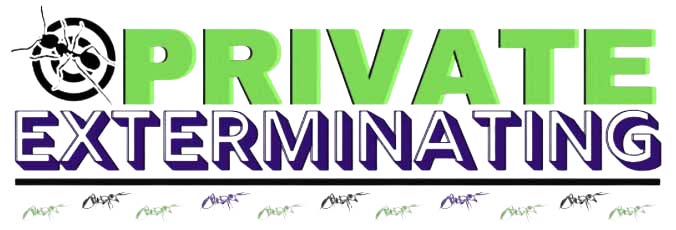 Logo for Private Exterminating featuring a target with a bug on the left, PRIVATE in large green letters above EXTERMINATING in bold purple letters. Small bug icons are lined up at the bottom.